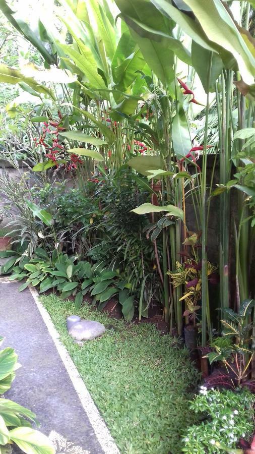 Taman Puspa أوبود المظهر الخارجي الصورة